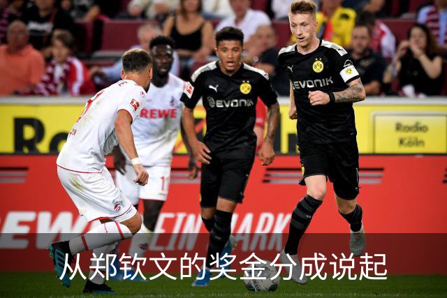 从郑钦文的奖金分成说起
